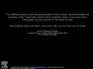 The p 38Reactivating Kinase Mitogenactivated Protein Kinase Cascade The p 38Reactivating Kinase Mitogenactivated Protein Kinase Cascade
