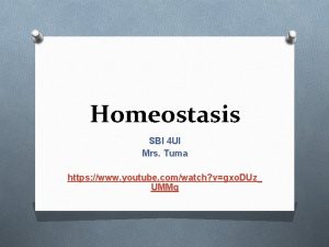 Homeostasis SBI 4 UI Mrs Tuma https www