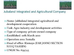 Jubaland Integrated and Agricultural Company Name Jubbaland integrated