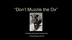 Dont Muzzle the Ox Funding the Great Commission