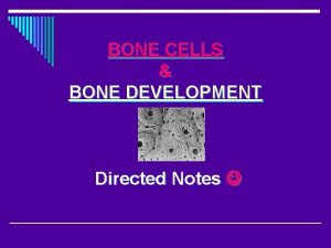 BONE CELLS BONE DEVELOPMENT Directed Notes Osteogenic cells