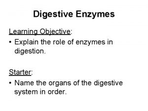 Digestive Enzymes Learning Objective Explain the role of