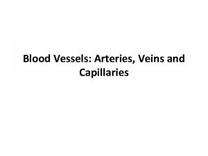 Blood Vessels Arteries Veins and Capillaries Cycles Blood