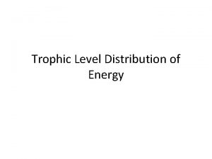 Trophic Level Distribution of Energy Important Vocabulary Trophic