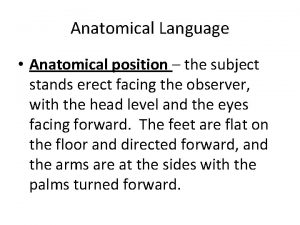 Anatomical Language Anatomical position the subject stands erect