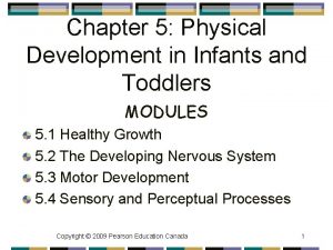 Chapter 5 Physical Development in Infants and Toddlers