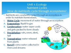 Unit 1 Ecology Nutrient Cycles How do nutrients