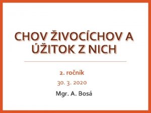CHOV IVOCCHOV A ITOK Z NICH 2 ronk