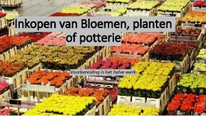 Inkopen van Bloemen planten of potterie Voorbereiding is