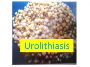 Urolithiasis Management of Urolithiasis in Domestic Animals Urolithiasis