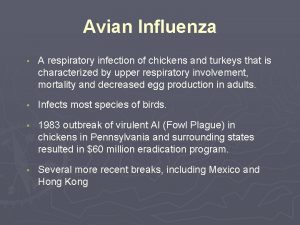 Avian Influenza A respiratory infection of chickens and