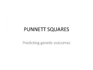 PUNNETT SQUARES Predicting genetic outcomes Gregor Mendel discovered