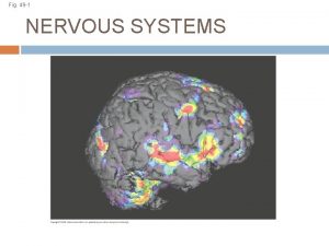 Fig 49 1 NERVOUS SYSTEMS Nervous systems consist