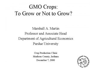 GMO Crops To Grow or Not to Grow