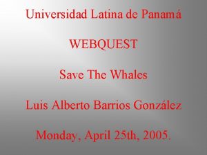 Universidad Latina de Panam WEBQUEST Save The Whales