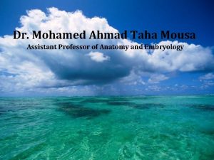 Dr Mohamed Ahmad Taha Mousa Assistant Professor of