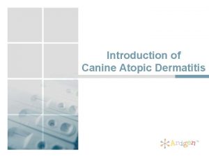 Introduction of Canine Atopic Dermatitis Canine atopic dermatitis