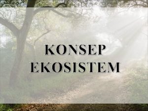 KONSEP EKOSISTEM PENGERTIAN Ekosistem suatu sistem di alam