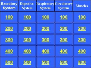 Excretory Digestive Respiratory Circulatory Muscles System 100 100