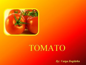 TOMATO By Varga Boglrka Tomato he word tomato