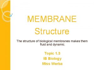 MEMBRANE Structure The structure of biological membranes makes