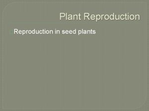 Plant Reproduction Reproduction in seed plants Gymnosperms Gymnosperm