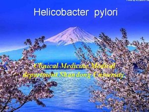 Helicobacter pylori Clinical Medicine Medical department Shandong University
