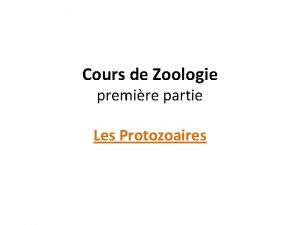 Cours de Zoologie premire partie Les Protozoaires Introduction