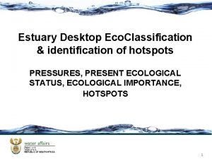 Estuary Desktop Eco Classification identification of hotspots PRESSURES