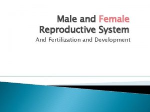 Male and Female Reproductive System And Fertilization and
