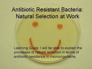 Antibiotic Resistant Bacteria Natural Selection at Work Learning