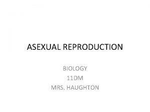 ASEXUAL REPRODUCTION BIOLOGY 11 DM MRS HAUGHTON SEXUAL