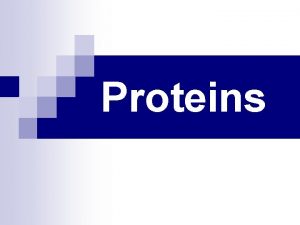 Proteins Introduction n Proteins are polymers of amino