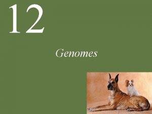 12 Genomes Chapter 12 Genomes Key Concepts 12