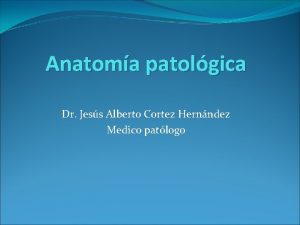 Anatoma patolgica Dr Jess Alberto Cortez Hernndez Medico