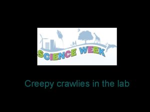 Creepy crawlies in the lab Creepy crawlies in