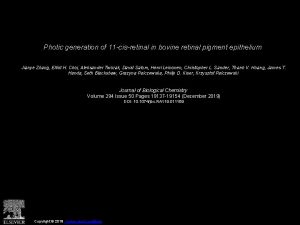 Photic generation of 11 cisretinal in bovine retinal