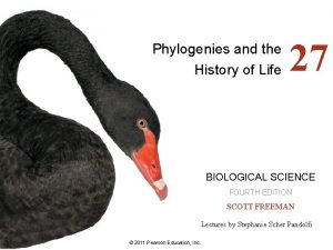 Phylogenies and the History of Life 27 BIOLOGICAL