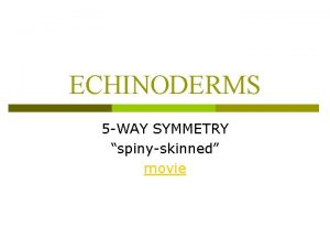 ECHINODERMS 5 WAY SYMMETRY spinyskinned movie ECHINODERM CHARACTERISTICS