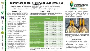 COMPACTAO DO SOLO NO CULTIVO DE MILHO SAFRINHA