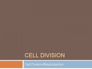 CELL DIVISION Cell DivisionReproduction Why Cells divide for