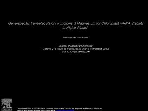 Genespecific transRegulatory Functions of Magnesium for Chloroplast m