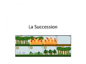 La Succession La succession cologique Les changements des