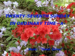 TWENTYSEVENTH SUNDAY IN ORDINARY TIME A Music Xem