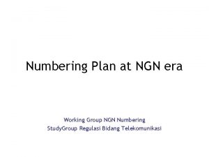 Numbering Plan at NGN era Working Group NGN