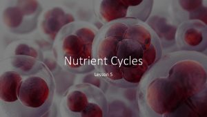 Nutrient Cycles Lesson 5 Nutrient Cycling Nutrient cycling