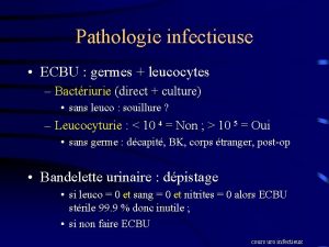 Pathologie infectieuse ECBU germes leucocytes Bactriurie direct culture