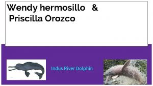 Wendy hermosillo Priscilla Orozco Indus River Dolphin Indus