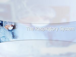 The Respiratory System Respiratory System n Includes the
