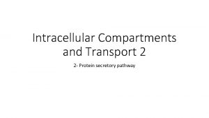 Intracellular Compartments and Transport 2 2 Protein secretory